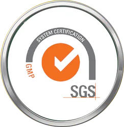 GMP Certified – ensuring quality, safety, and consistency